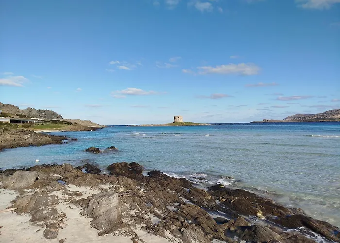 Casa Joy By World 公寓