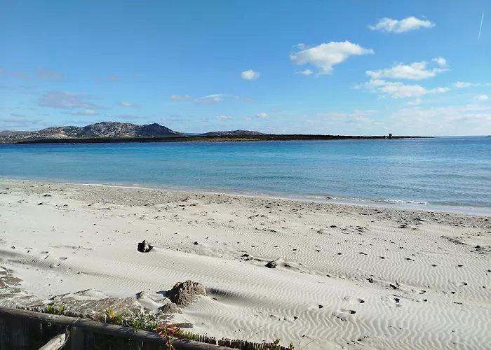 公寓 Casa Joy By World 斯廷蒂诺