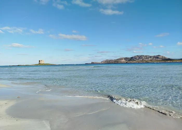 Casa Joy By World * 斯廷蒂诺